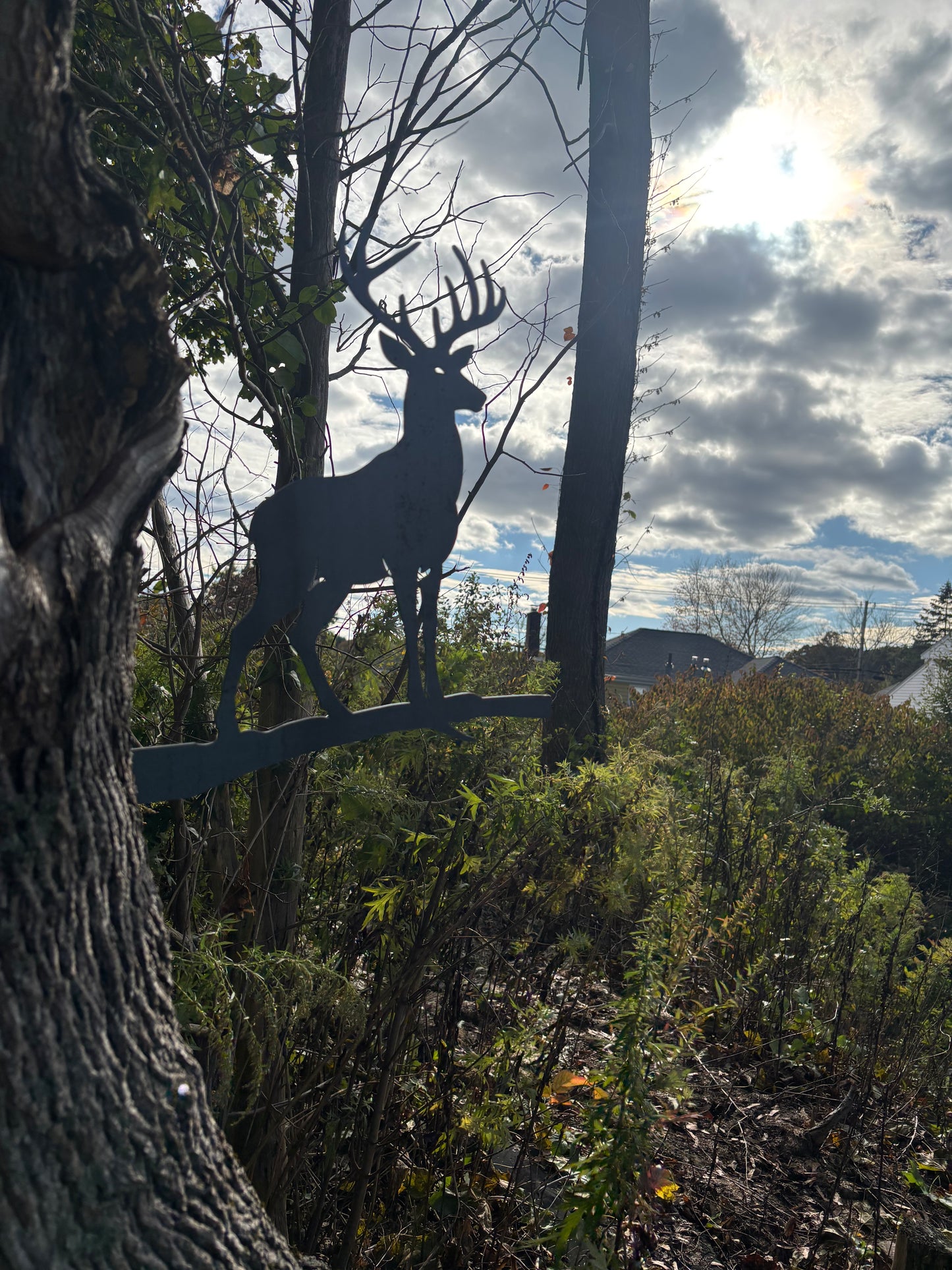 Buck Tap in Tree Stake